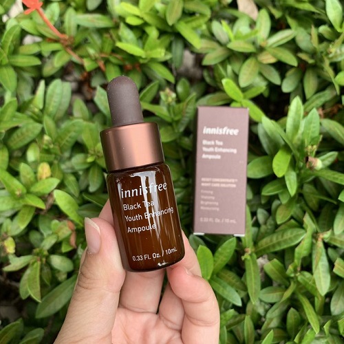 INNISFREE Black Tea Youth Enhancing Ampoule 10 ml Beauty & Me